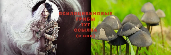 каннабис Абинск