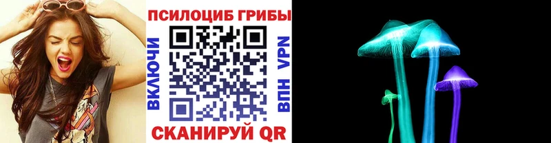 где найти   Рассказово  Галлюциногенные грибы Magic Shrooms 